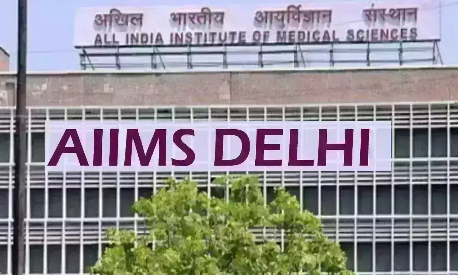 Delhi High Court: AIIMS Cannot Reject DM Candidate, Residency Can Be Cumulative Across Institutions