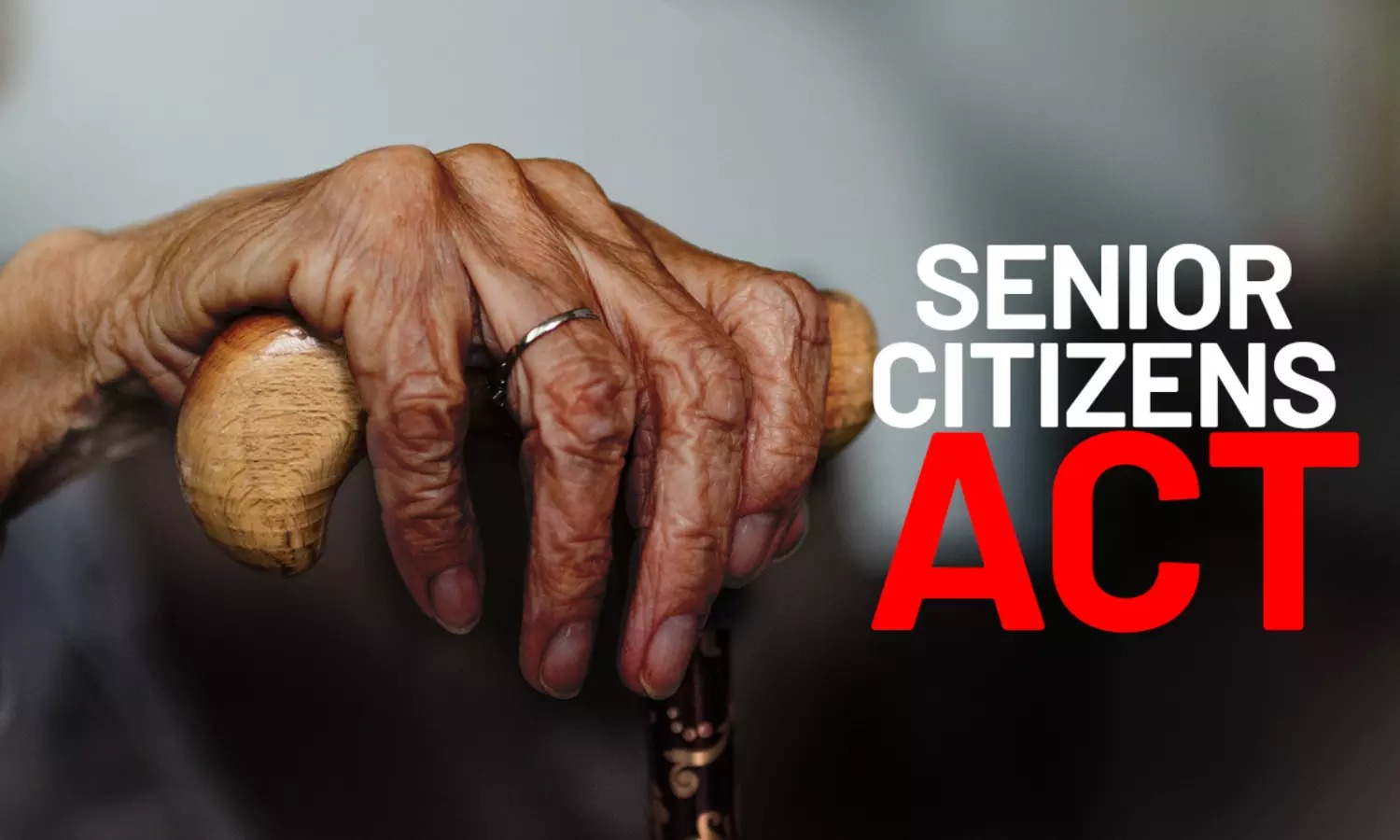 Bombay High Court: Senior Citizens Act Cannot Be Misused for Eviction Without Maintenance Claim