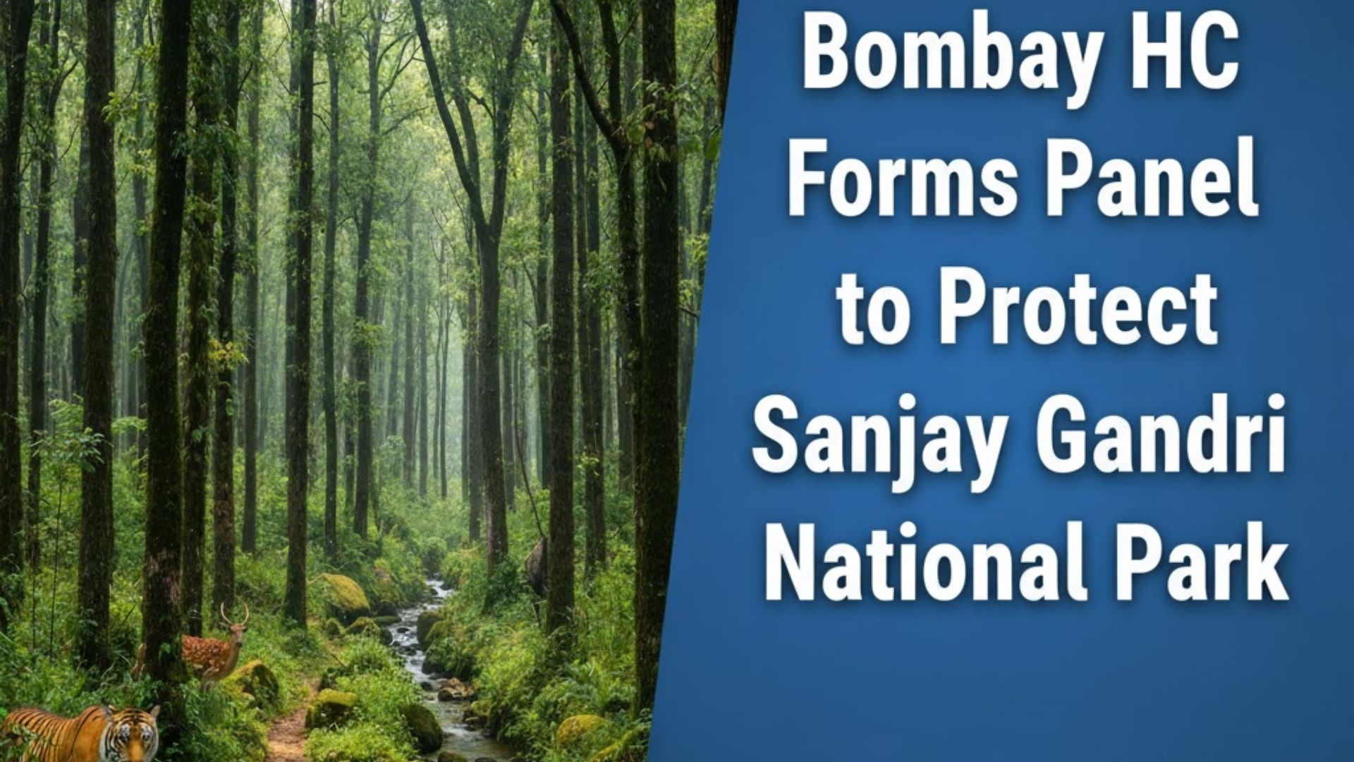 Bombay HC Forms Panel to Protect Sanjay Gandhi National Park