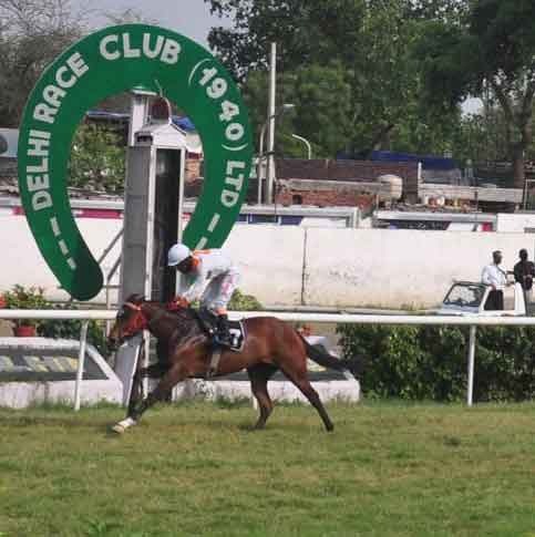 Delhi Race Club Faces Eviction: Lease Dispute Over 53 Acres Intensifies