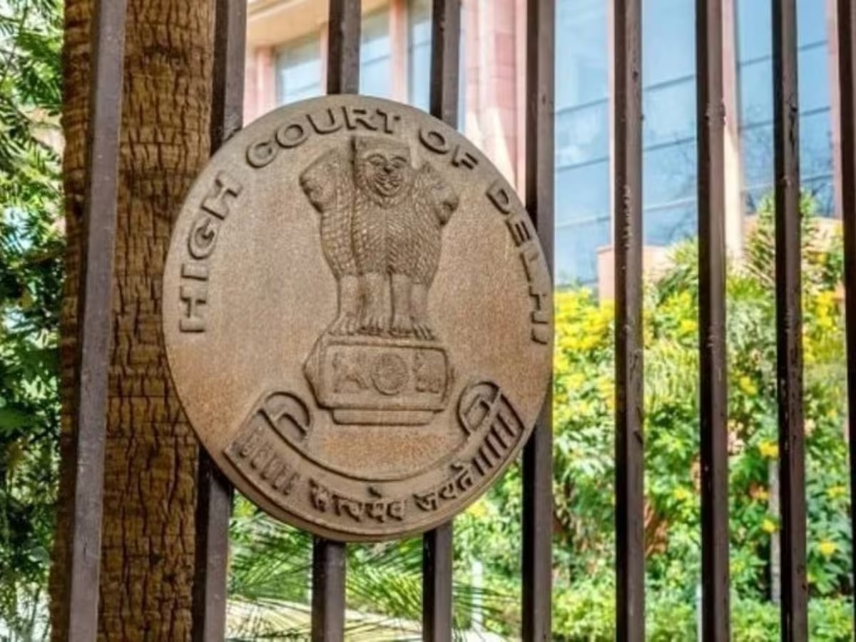 Delhi High Court: Bail Cannot Be Denied for Voluminous Petitions