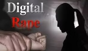 Delhi High Court Upholds 10-Year Sentence in Digital Rape Case Involving Mother and Son