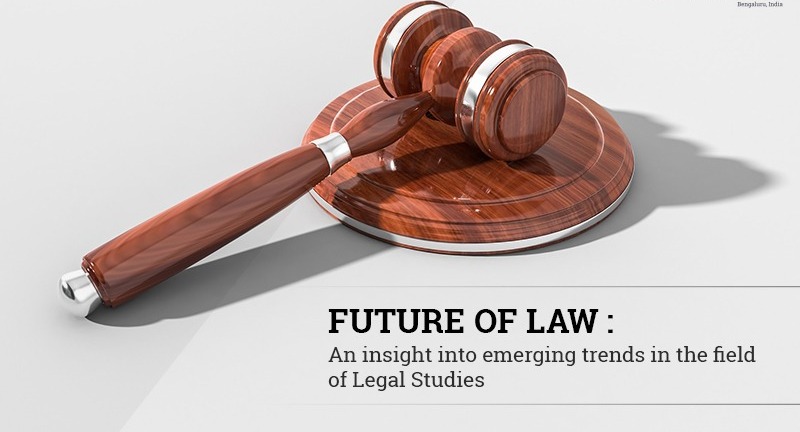 Career Roadmap for Young Lawyers in Emerging Legal Fields