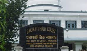 Gauhati High Court Quashes Case Against Influencer Over ‘Goat’ Remark on Assamese Women