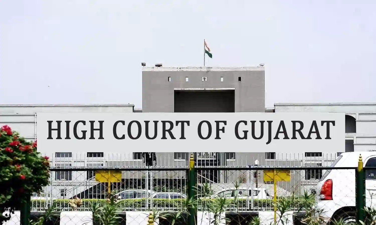 Gujarat High Court Grants Relief to 82-Year-Old Woman in Income Tax Case