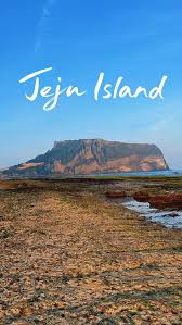 Why Jeju Island Visa Rules Confuse Indian Travelers