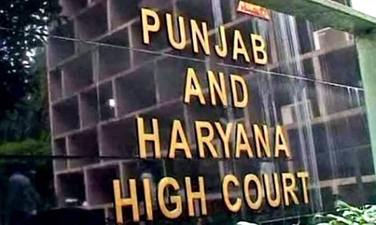 Punjab & Haryana High Court Awards ₹5 Lakh Compensation to Worker Denied Absorption for 30 Years Despite Supreme Court Order