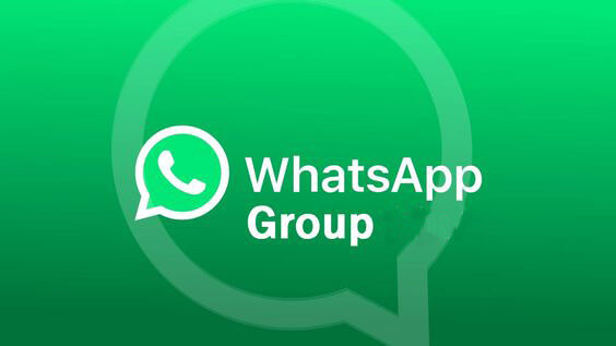 WhatsApp Group Messages Are Public Utterances: Punjab & Haryana High Court Warns in Obscenity Case