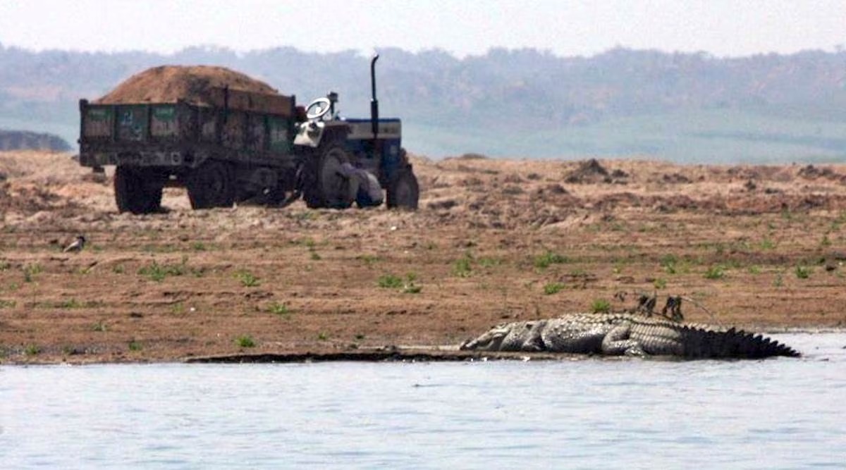 Supreme Court Steps in Against Illegal Sand Mining in Chambal Sanctuary