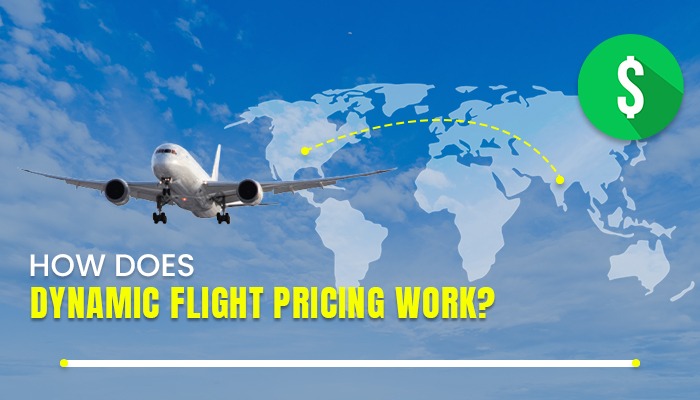 Supreme Court Plea Challenges Dynamic Airfare Pricing, Seeks 25 Kg Free Baggage Allowance for Passengers