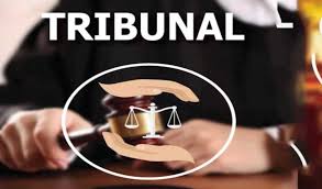 Supreme Court Slams Tribunals as Liability, Calls Them Government’s Headache