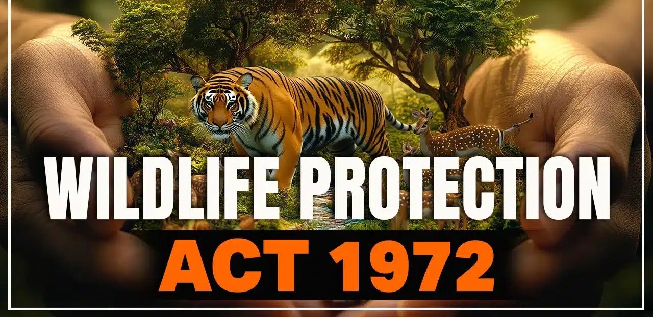 Smuggled Peacock and Walrus Trophies Spark Alarm: India’s Anti-Poaching Laws and Buyer Awareness Under Spotlight