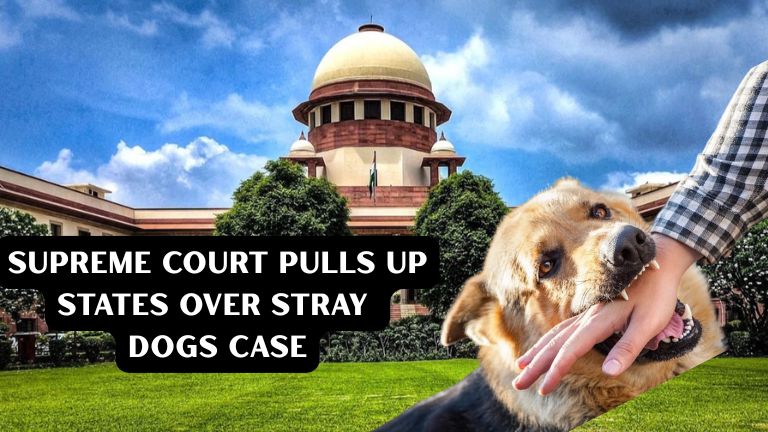 Supreme Court Pulls Up States Over Stray Dogs Case: