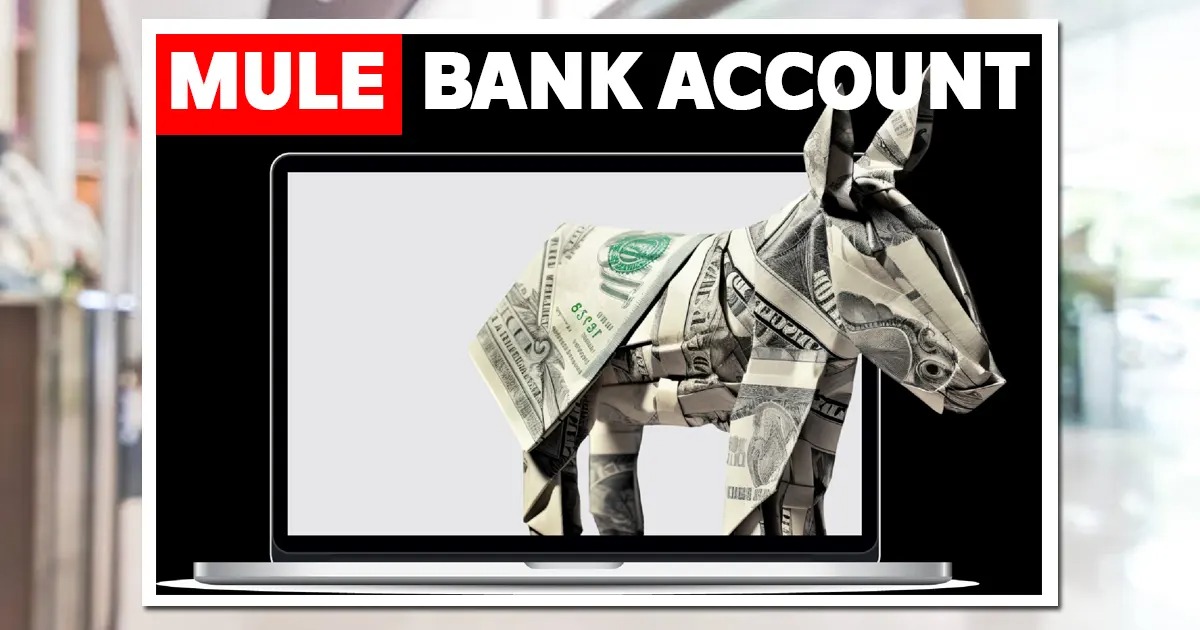 Telangana Police Bust Mule Bank Account Network in Cyber Fraud Crackdown