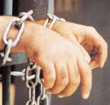 Allahabad High Court Protects Accused from Arbitrary Arrests