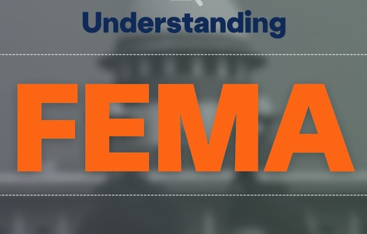 Beyond Borders: FEMA – The Backbone of Overseas Investment