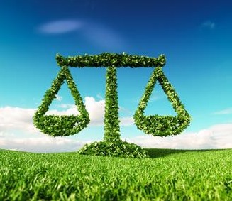 Climate Change Litigation: Expanding Environmental Rights in India