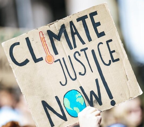 Climate Constitutionalism in India: How Environmental Rights Are Emerging as Fundamental Rights