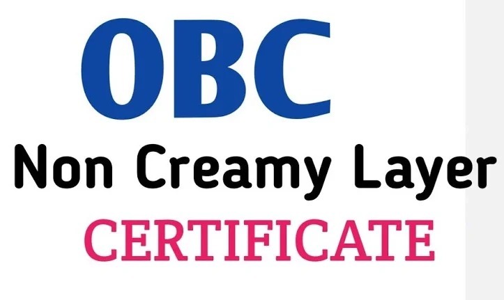 High Court Ruling on OBC Non-Creamy Layer: Impact on Private Sector Salaries