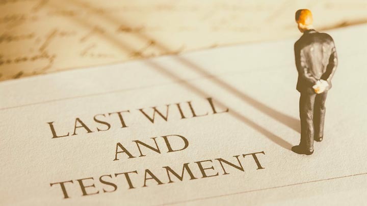 General Draft of Last Will and Testament executed by a Sister in favour of her Brother to the exclusion of other legal heirs.