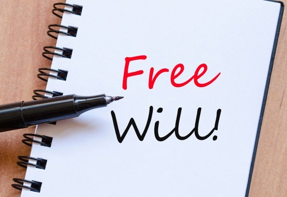 Equal Shares, Clear Intent: Why Wills Must Be Tailored