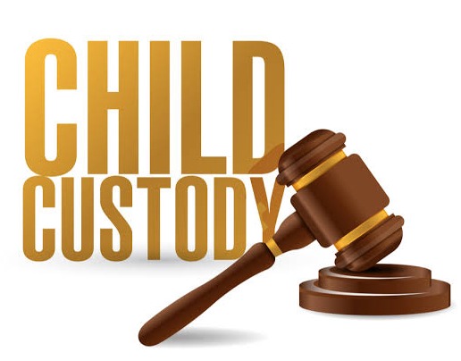 AP High Court Enforces Transparency in Child Custody Writs
