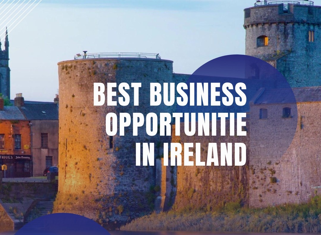 Ireland Opens Doors: Indian Investors Eye EU Expansion
