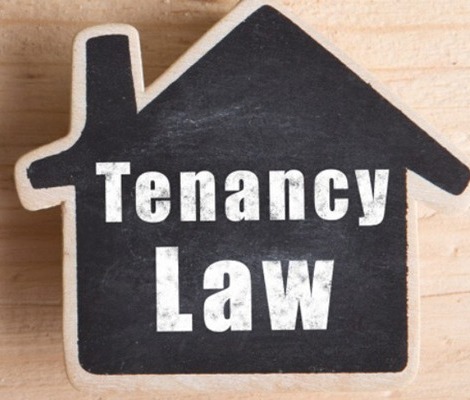 Calcutta High Court Clarifies Tenant Eviction Limits Under Senior Citizens Act