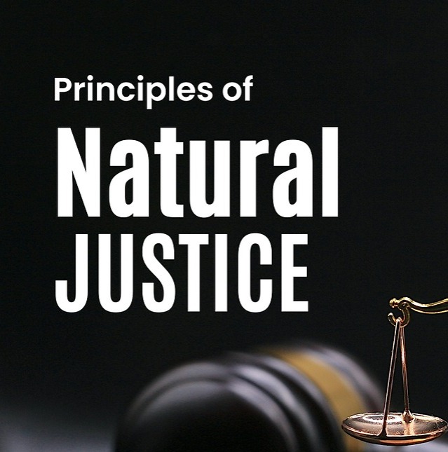 Natural Justice in Taxation: Safeguarding Businesses in India
