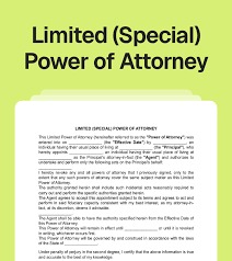 PoA Clauses: NRIs’ Legal Armor Against Property Fraud