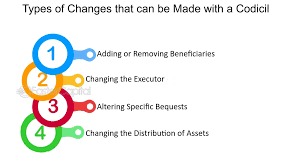 Codicil Adds New Assets, Updates Executor in Testamentary Document