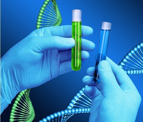 SC Rules DNA Evidence Can Override Presumption of Legitimacy in Maintenance Cases