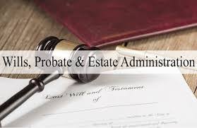 Step-by-Step Judicial Process: How Courts Appoint and Review Administrators in Probate Cases