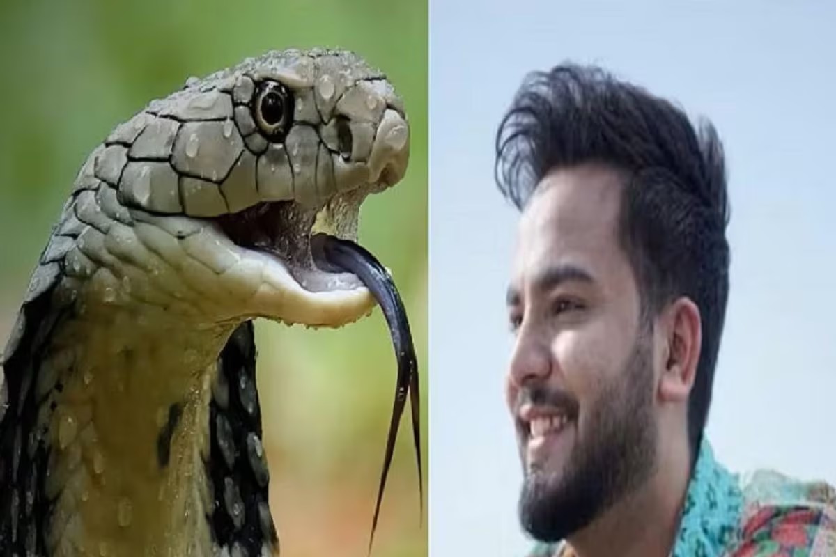 Supreme Court Quashes FIR Against Elvish Yadav in Snake Venom Case