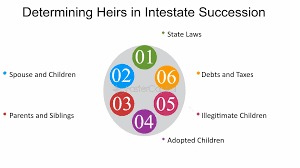 Who Gets What: The Law of Intestate Distribution